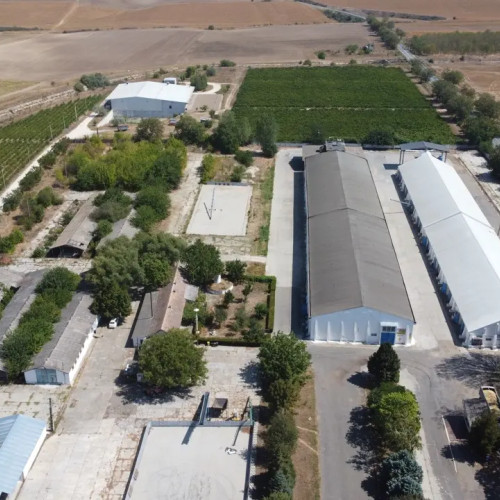 Licitație pentru silozurile Ameropa în România