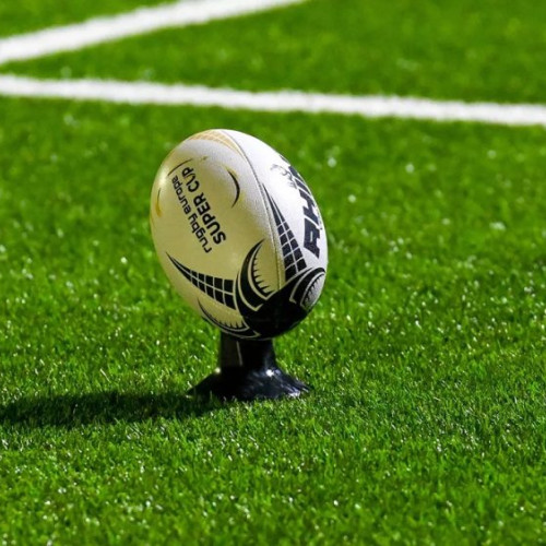 Romanian Wolves, pregătiri pentru competiția de rugby