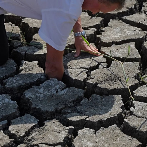 Seceta devastatoare afectează agricultorii din România