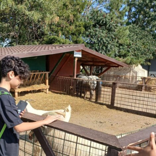 Vizita copiilor la fermă a fost un real succes