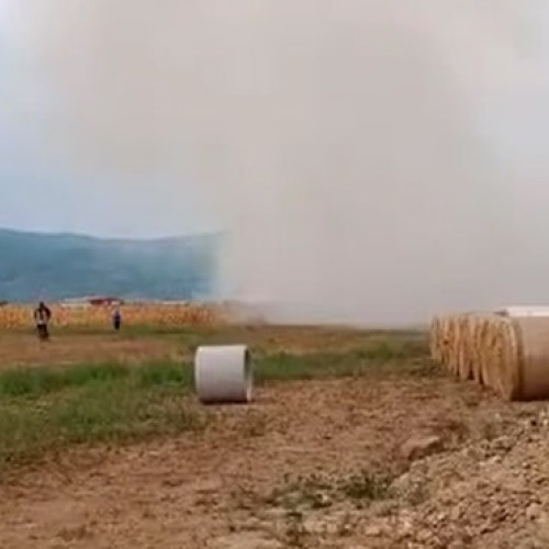 Incendiu de vegetație la Cergau, pompierii intervin