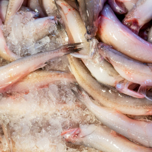 Comisarii de la Protecția Consumatorilor descoperă nereguli grave la magazinele de înghețată