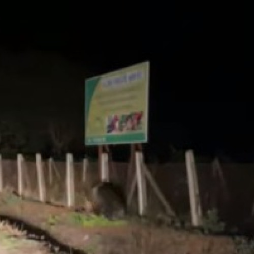 Crește numărul apelurilor pentru siguranța cetățenilor: 77 de solicitări pentru apărarea împotriva urșilor