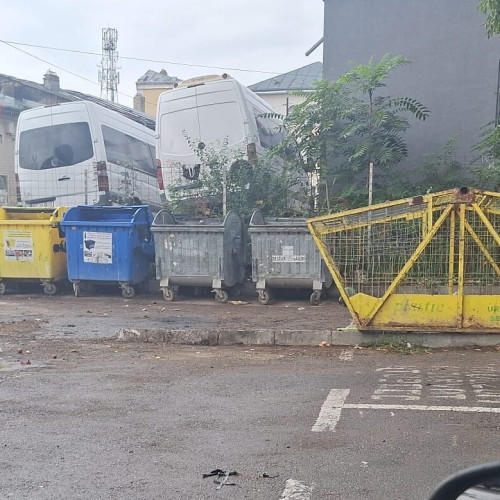 Amenzi pentru primăriile din județul Botoșani în urma controalelor de mediu