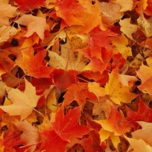 Ciclonul din Europa afectează România: furtuni și scădere a temperaturilor