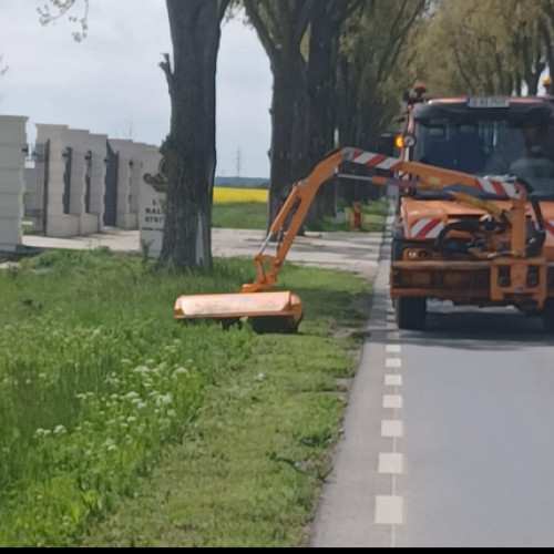 Campania de combatere a ambroziei avansează în județul Ilfov