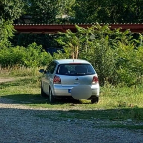 Bărbat din Botoșani amendat pentru abandonarea animalelor