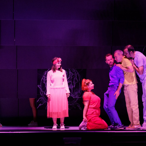 Spectacolul "Bujor" pe scena Festivalului de regie "Catalina Buzoianu" din Iași