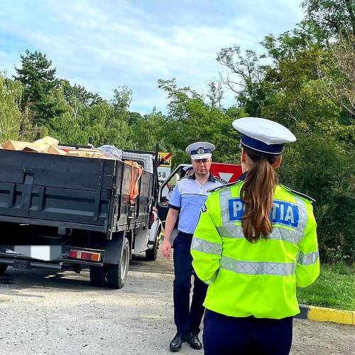 Amendează un șofer pentru transport ilegal de lemne