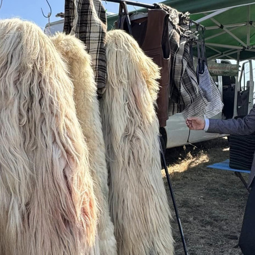 Festivalul Folcloric Pastoral "Coboratul oilor" de la Loman, desfășurat fără oi din cauza Pestei Micilor Rumegătoare