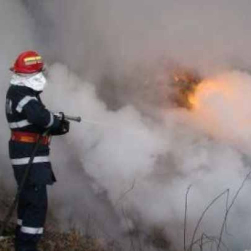 Incendiu în Oraseni Vale, depozit de furaje în flăcări