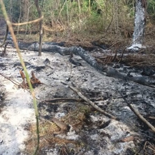 NATO condamnă încălcarea spațiului aerian al României de către Rusia