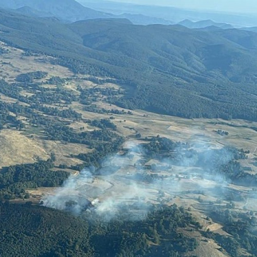 Incendiu de vegetație în Huta Certeze, intervenție complexă a pompierilor