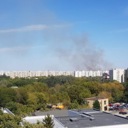 Incendiu de vegetație uscată în Parcul IOR, afectând 10.000 de metri pătrați
