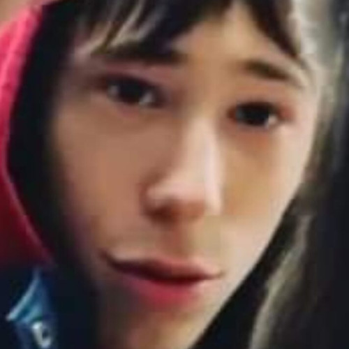 Baiatul din Botoșani, căutat de poliție, a fost găsit