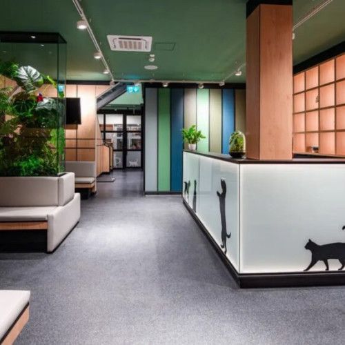 Arcadia Vet lansează abonamente medicale pentru animale de companie în Iași