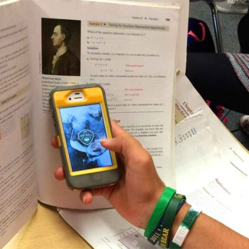 Colegiul Calvijn din Olanda interzice telefoanele mobile în școli