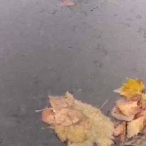 Vremea până la începutul lunii octombrie: Toamna își face simțită prezența