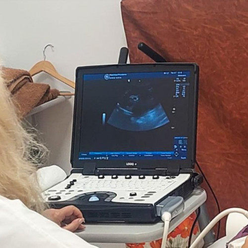 Caravana medicală a Fundației Medicale "Providența" în Ștefănești, Botoșani