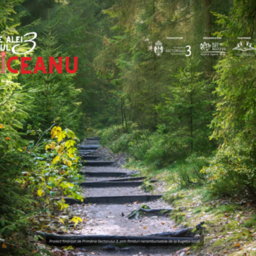 Recitaluri muzicale autentice în Sectorul 3