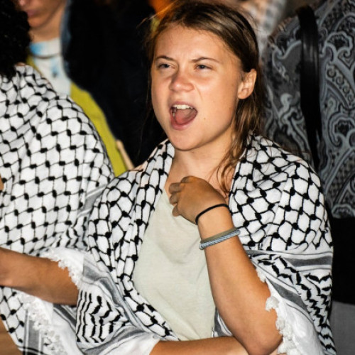Greta Thunberg, confrontare cu poliția la un protest pro-palestinian în Stockholm