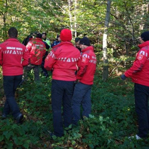 Bărbat decedat într-un accident tragic în pădurea dintre Lepsa și Soveja