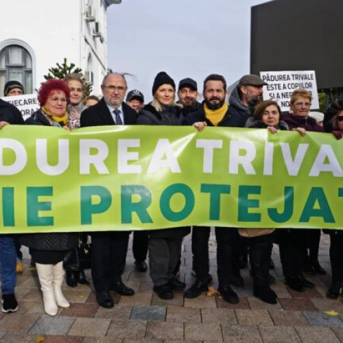 Victoria PNL Argeș în protejarea Pădurii Trivale: Curtea de Apel a anulat decizia PSD