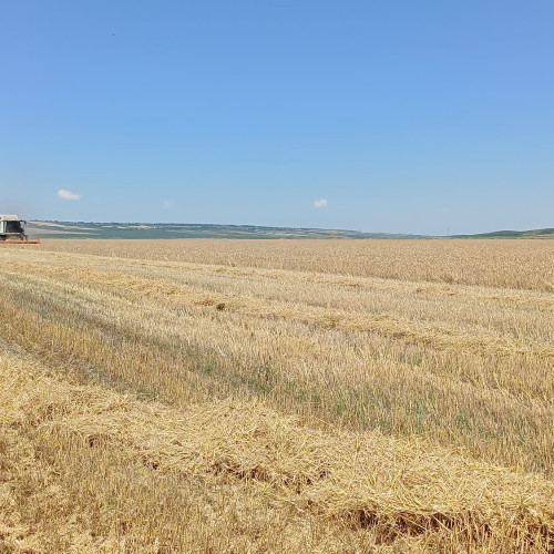 Botoșani se află în topul județelor cu cele mai multe terenuri agricole vândute