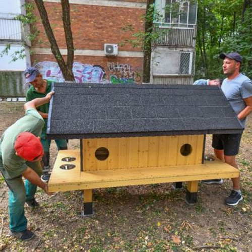 Primăria Sectorului 6 instalează căsuțe pentru pisici comunitare