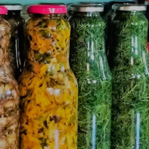 Beneficiile tincturilor din plante pentru sănătate