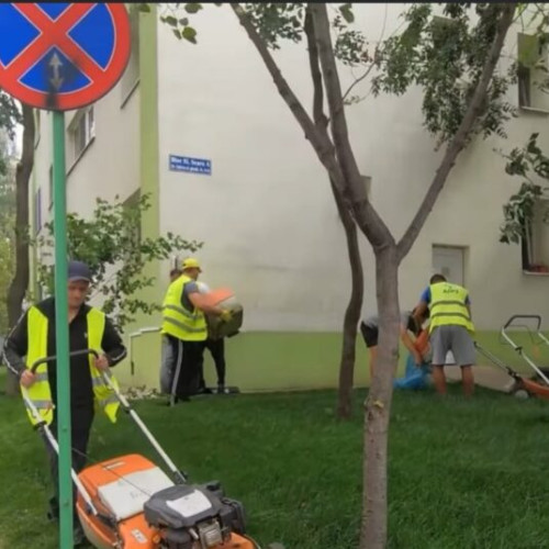 Administrația Domeniului Public Sector 2 se ocupă de întreținerea zonelor verzi