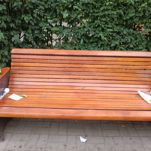 O profesoară din Botoșani critică lipsa de educație civică