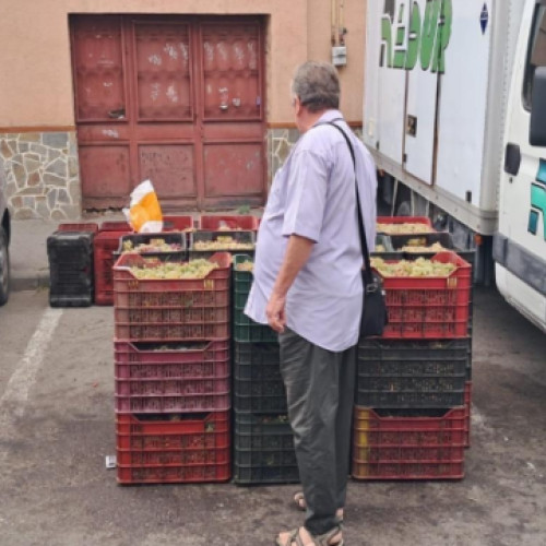 Botoșăneni amendați pentru vânzarea strugurilor din duba în Piața Centrală