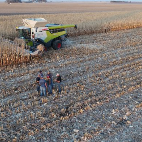 Botoșani, pe locul doi în vânzările de terenuri agricole