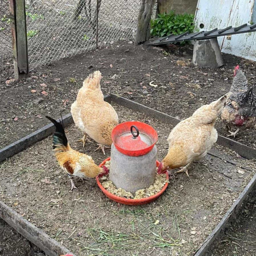 Un bărbat din Aiud, trimis în judecată pentru amenințare