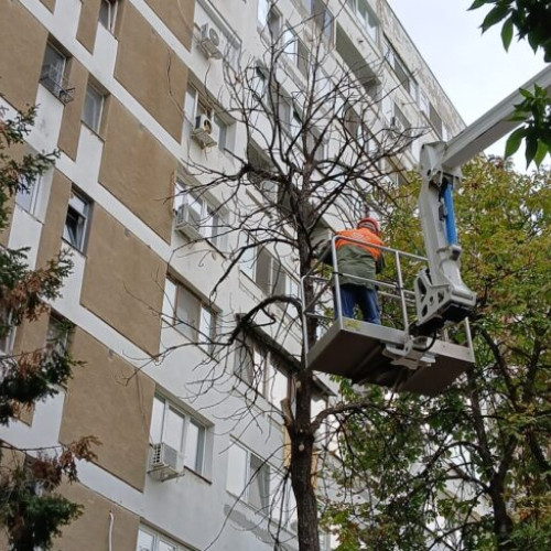 Primăria Sectorului 3 începe curățenia de toamnă