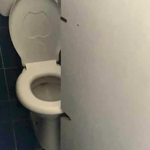 Problema ușilor decupate la toaletele Colegiului Pedagogic "Andrei Șaguna" din Sibiu