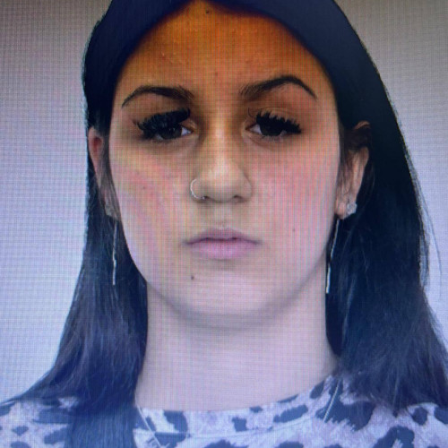 Fetiță dispărută în Târgoviște, căutată de autorități