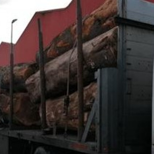 Ciocnire între două autotrenuri pe șoseaua de ocolire a municipiului Roman