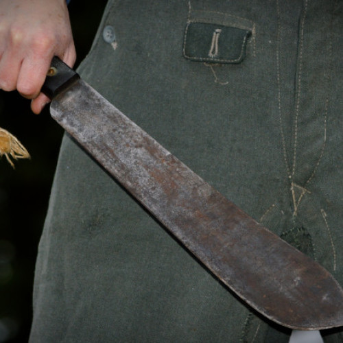 Cetățean sirian arestat în Germania pentru planificarea unui atac asupra soldaților