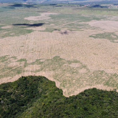 Germania critică noua directivă a UE privind defrișările