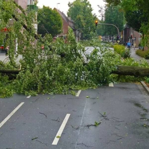 Ploile torentiale și vântul puternic provoacă pagube în Argeș