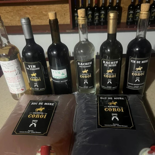 O comoară bahică în nordul Moldovei: Vinuri și rachiuri de calitate din Botoșani
