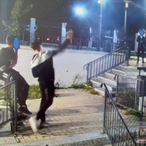 Tineri surprinși vandalizând un parc din Botoșani