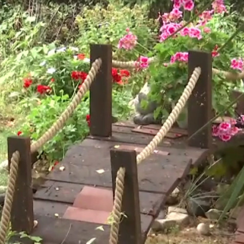 Transformarea spațiilor verzi în grădini urbane la Brașov