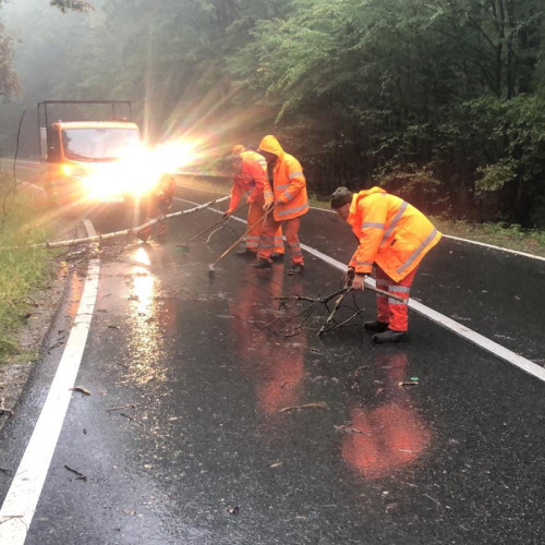 Fenomene meteo extreme afectează Botoșaniul: intervenții pe DN 29A