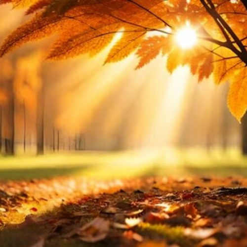 Vremea se schimbă în România începând din 17 septembrie