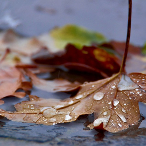 Prognoza meteo pentru perioada 16-29 septembrie