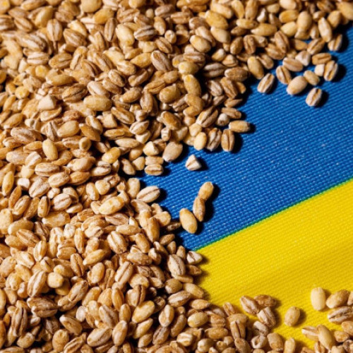 Rusia continuă să submineze eforturile Ucrainei în fața invaziei