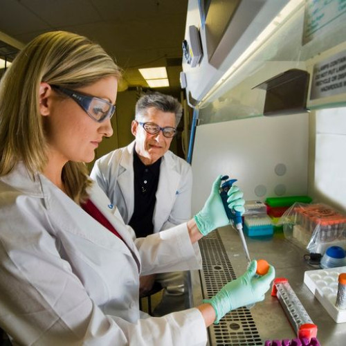 Importanța analizelor medicale în evaluarea sănătății